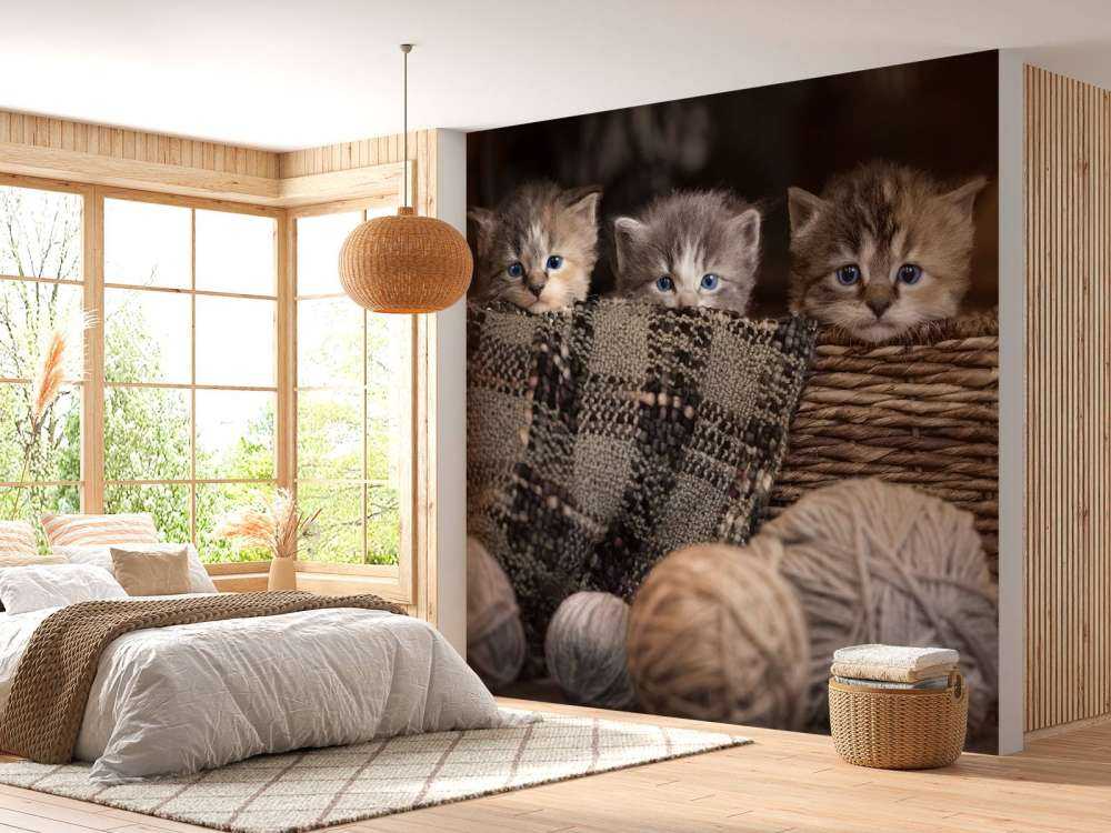 Tre kattungar i en korg