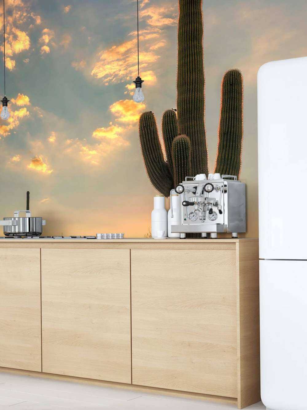 Kaktus vid solnedgången