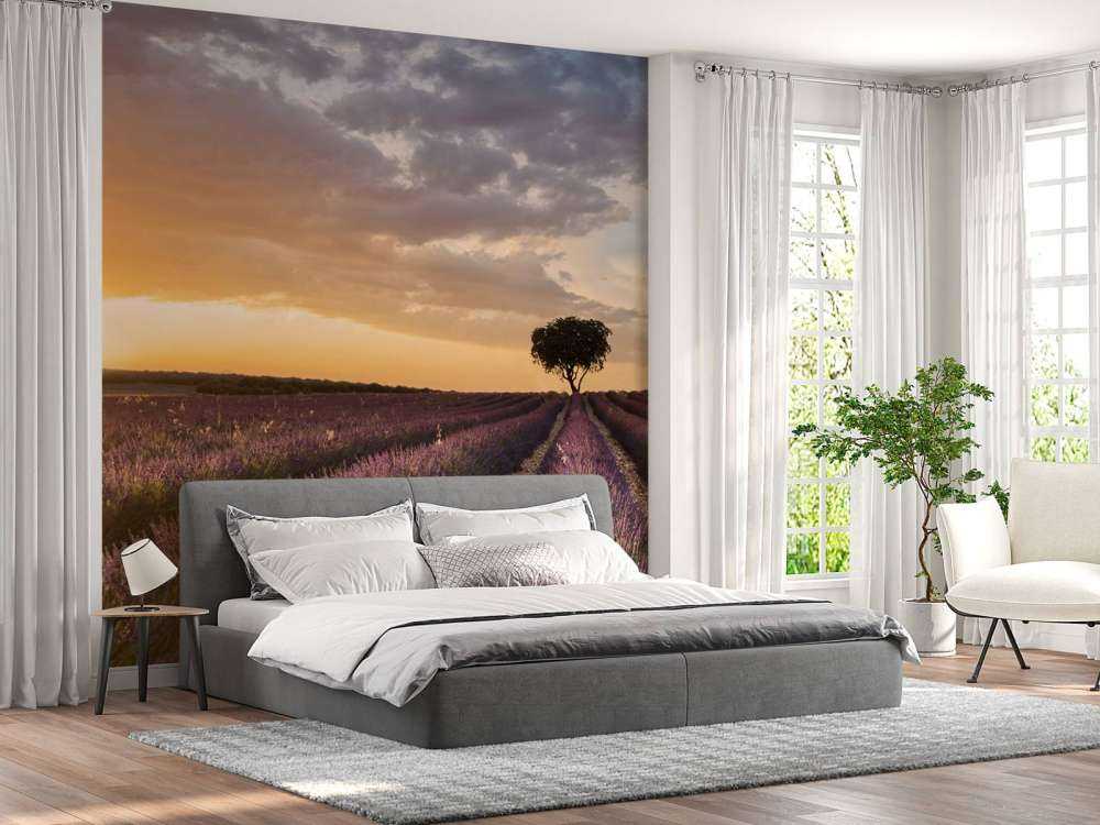 Destination lavender