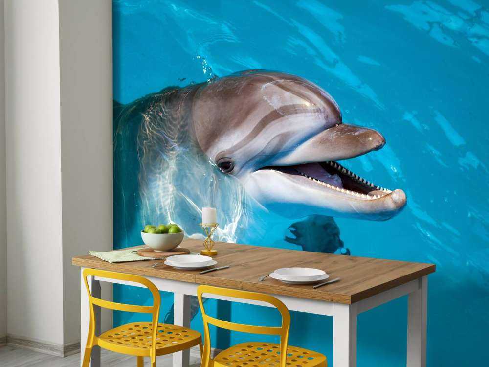 Vänlig delfin