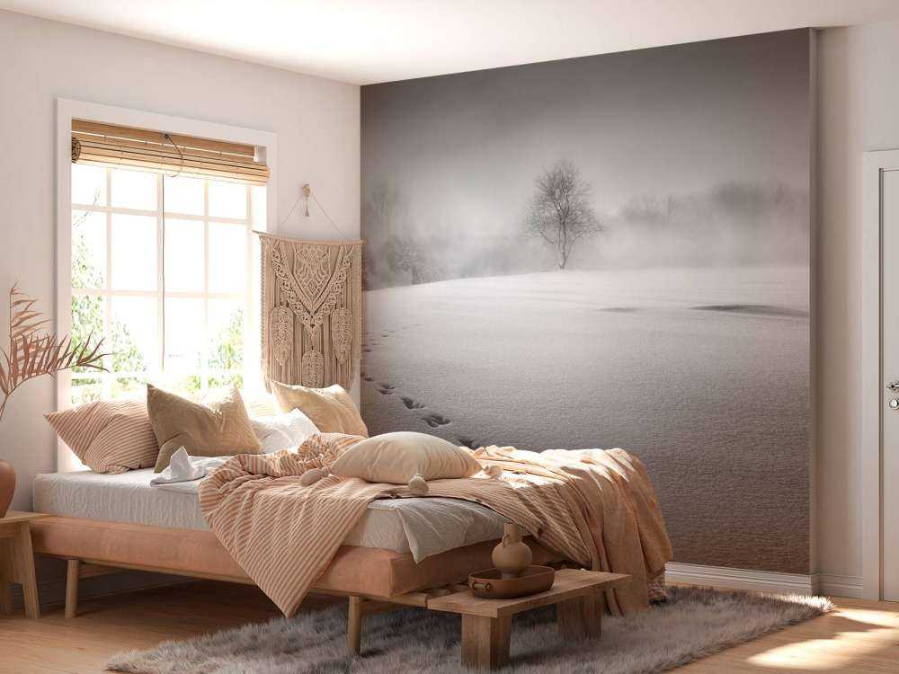 Winter scenery