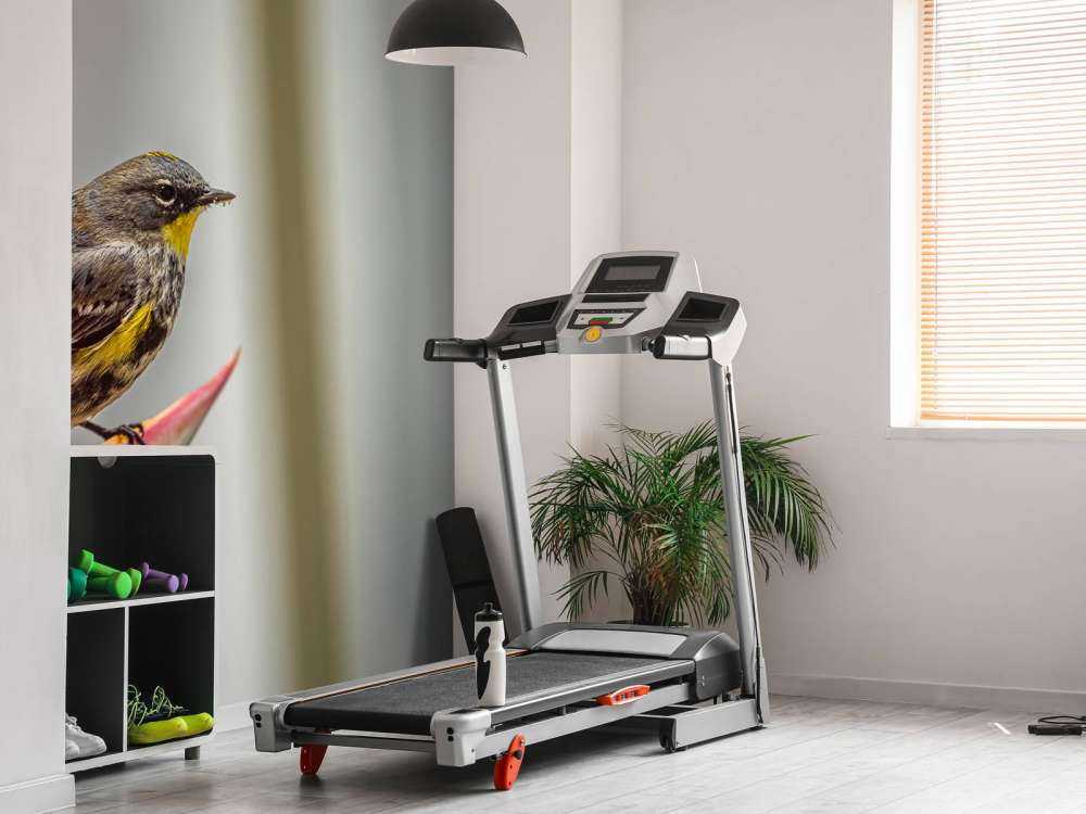 Paradisblomma med fågel