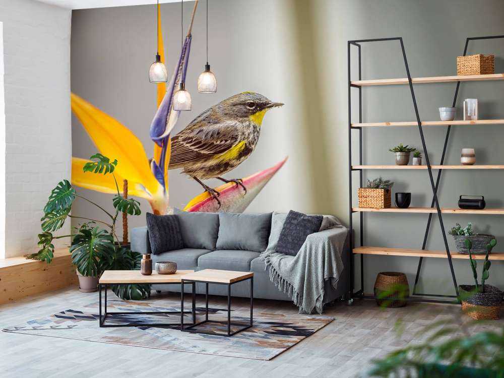 Paradisblomma med fågel