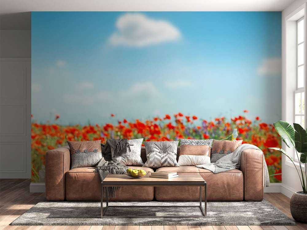 Vallmor och prästkragar