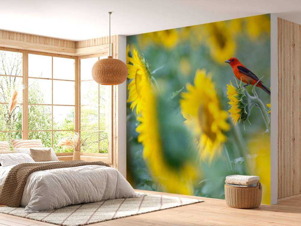 Solrosfält med röd fågel