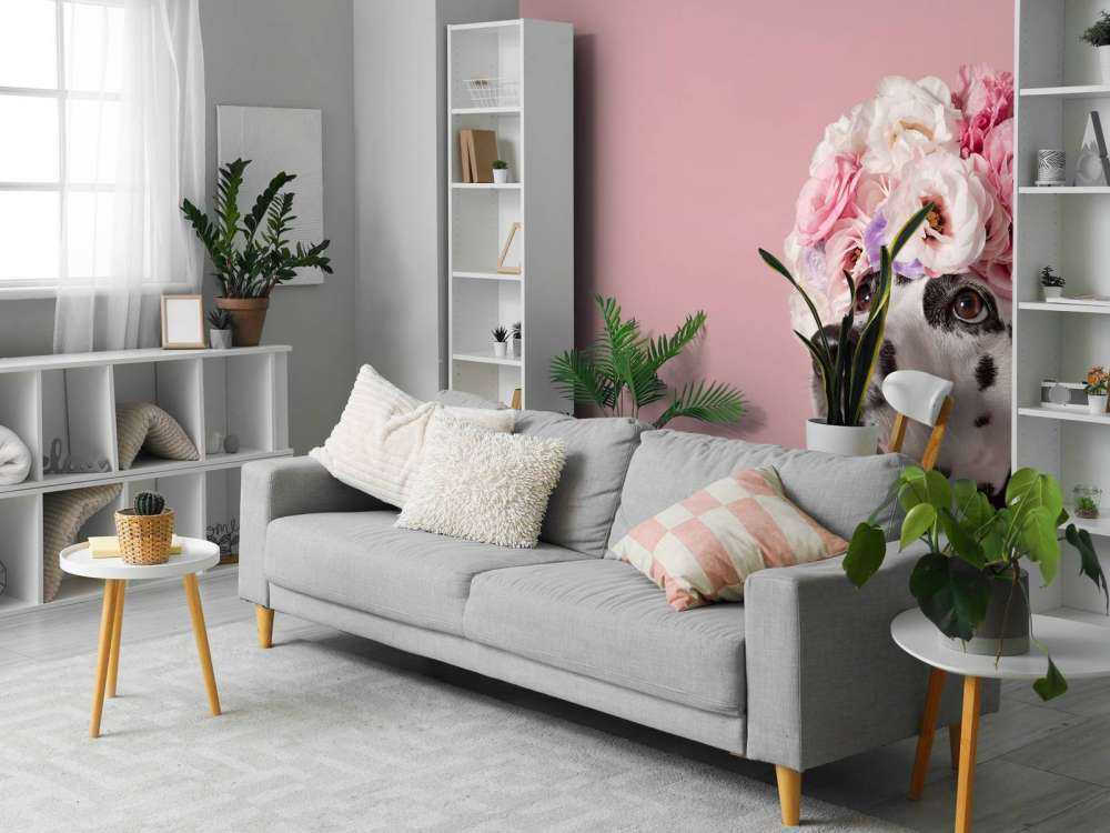 Dalmatinare med färgade blommor