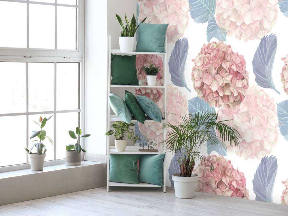 Höst Hortensia Harmoni