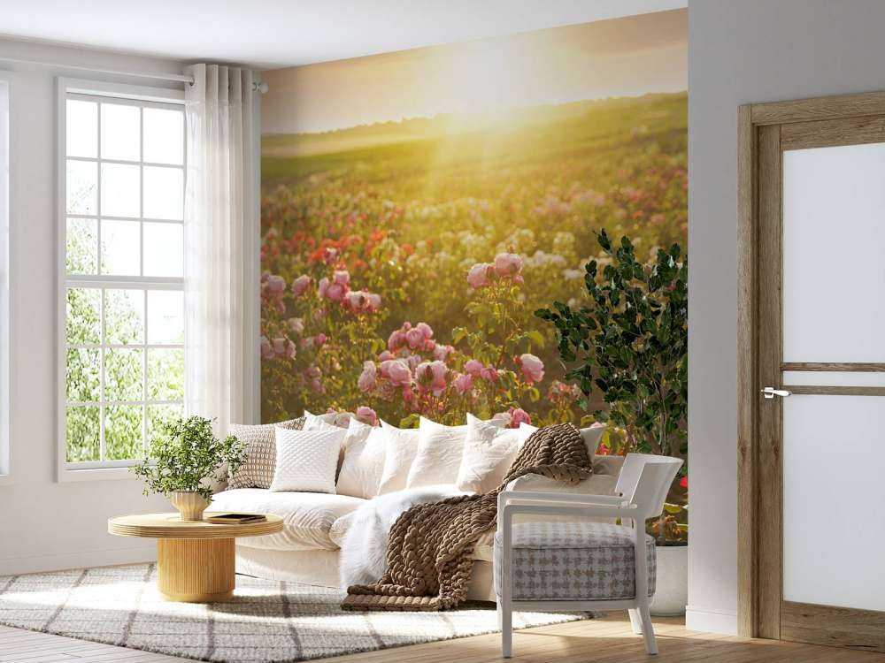 Fält fullt av rosor