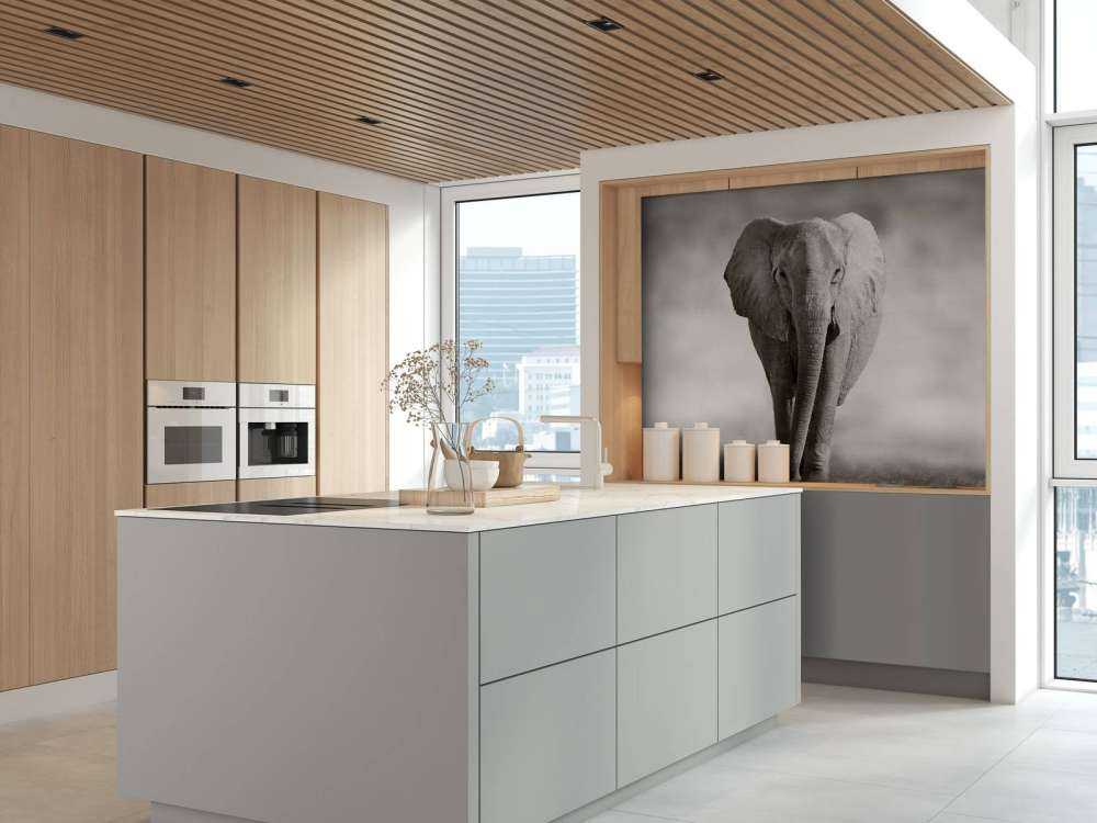 Vacker elefant