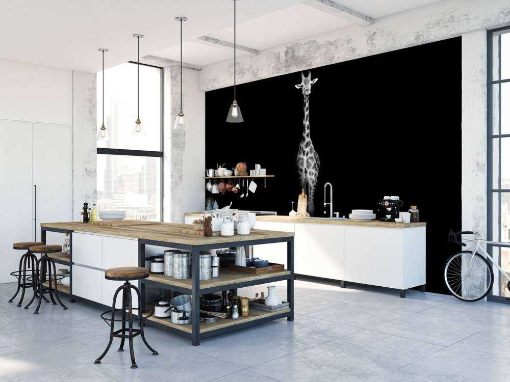Giraff svartvitt