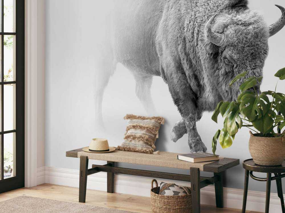 Bison svart, vit
