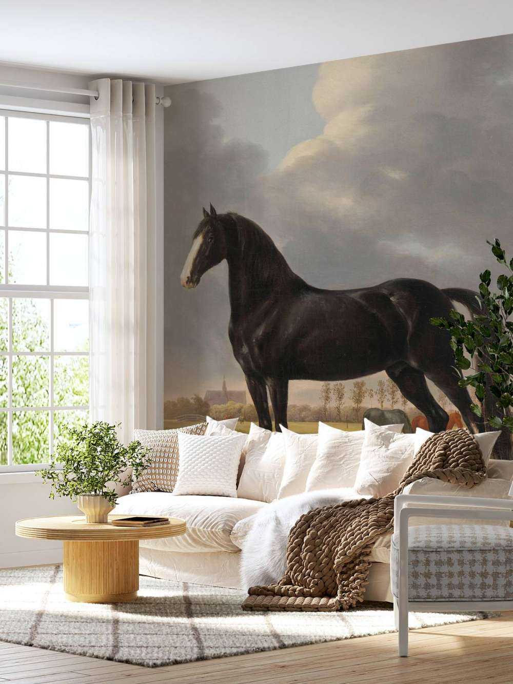 Fototapet häst. Den hårda lådan De Vlugge