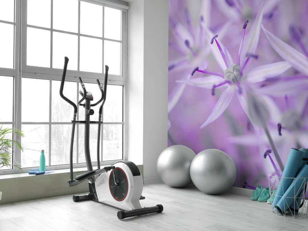 Lilla allium blomster