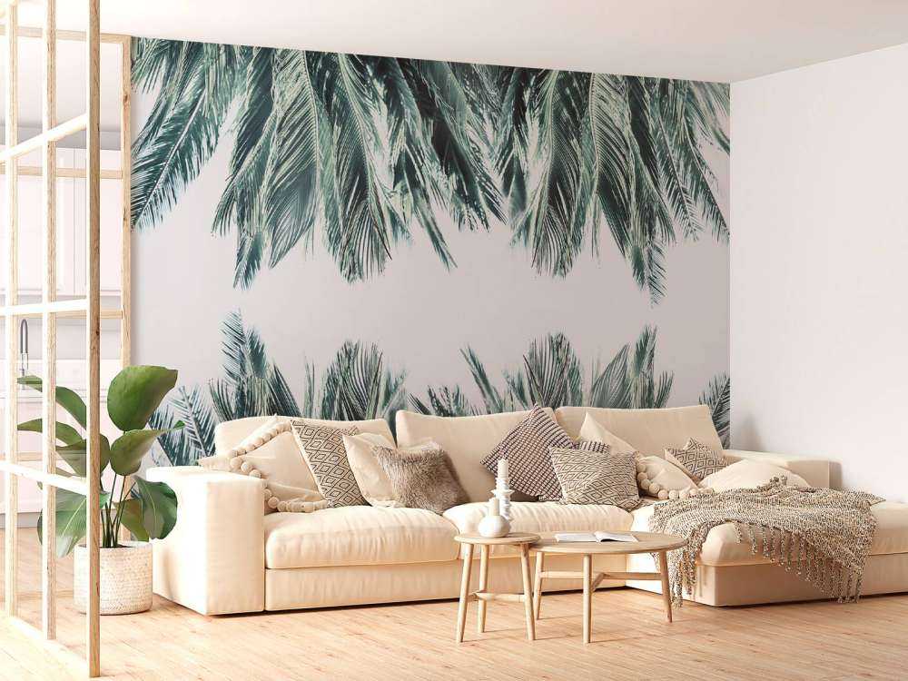 Palme blade på hvid baggrund