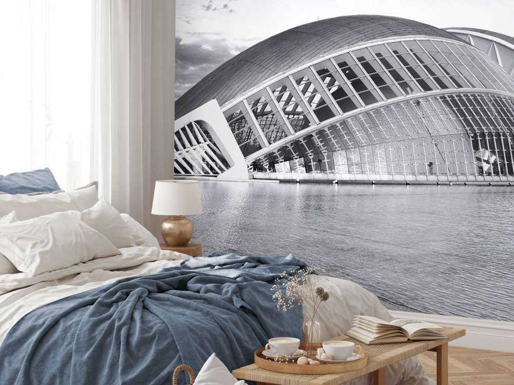 Imax teater - Hemisfèric