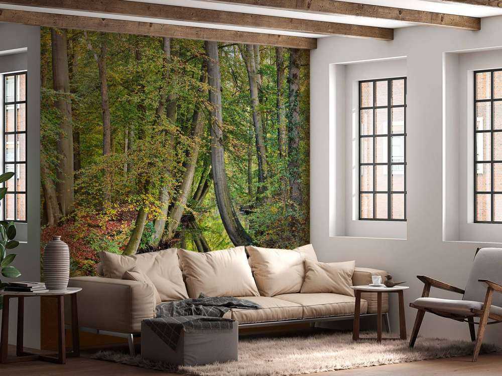 Refleksion af bøjede træer