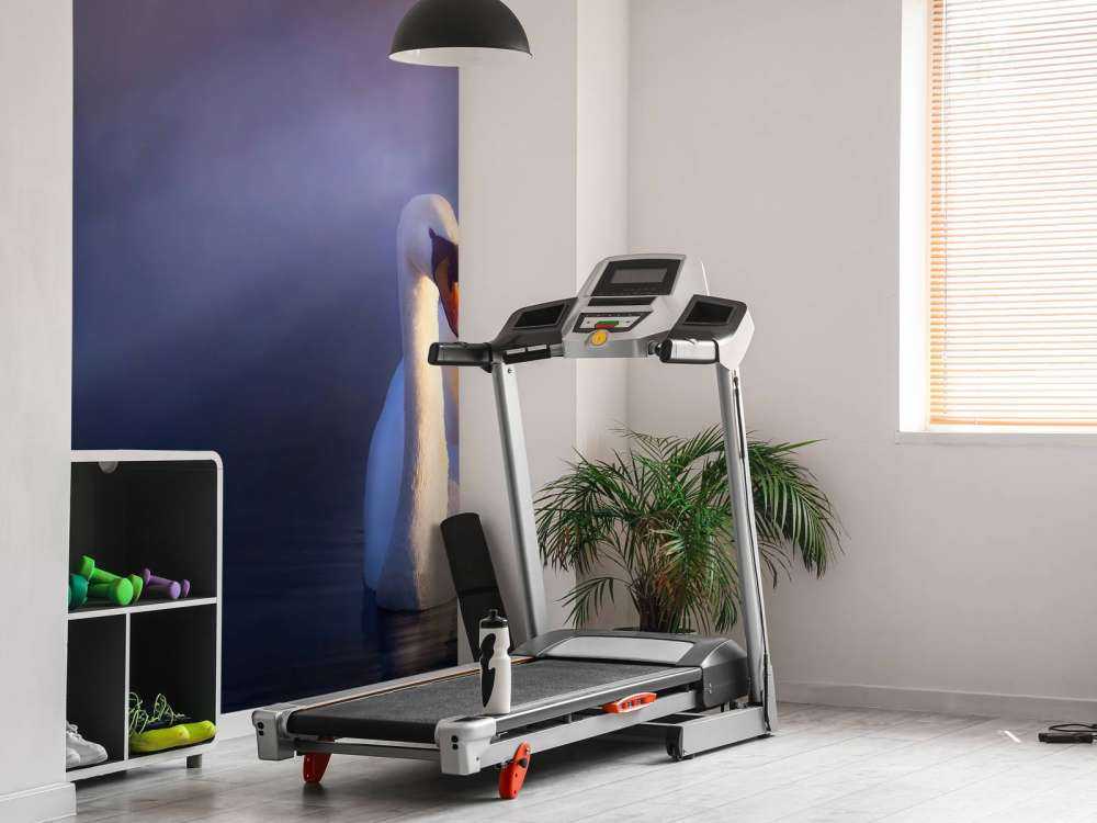 Elsker par hvide svaner