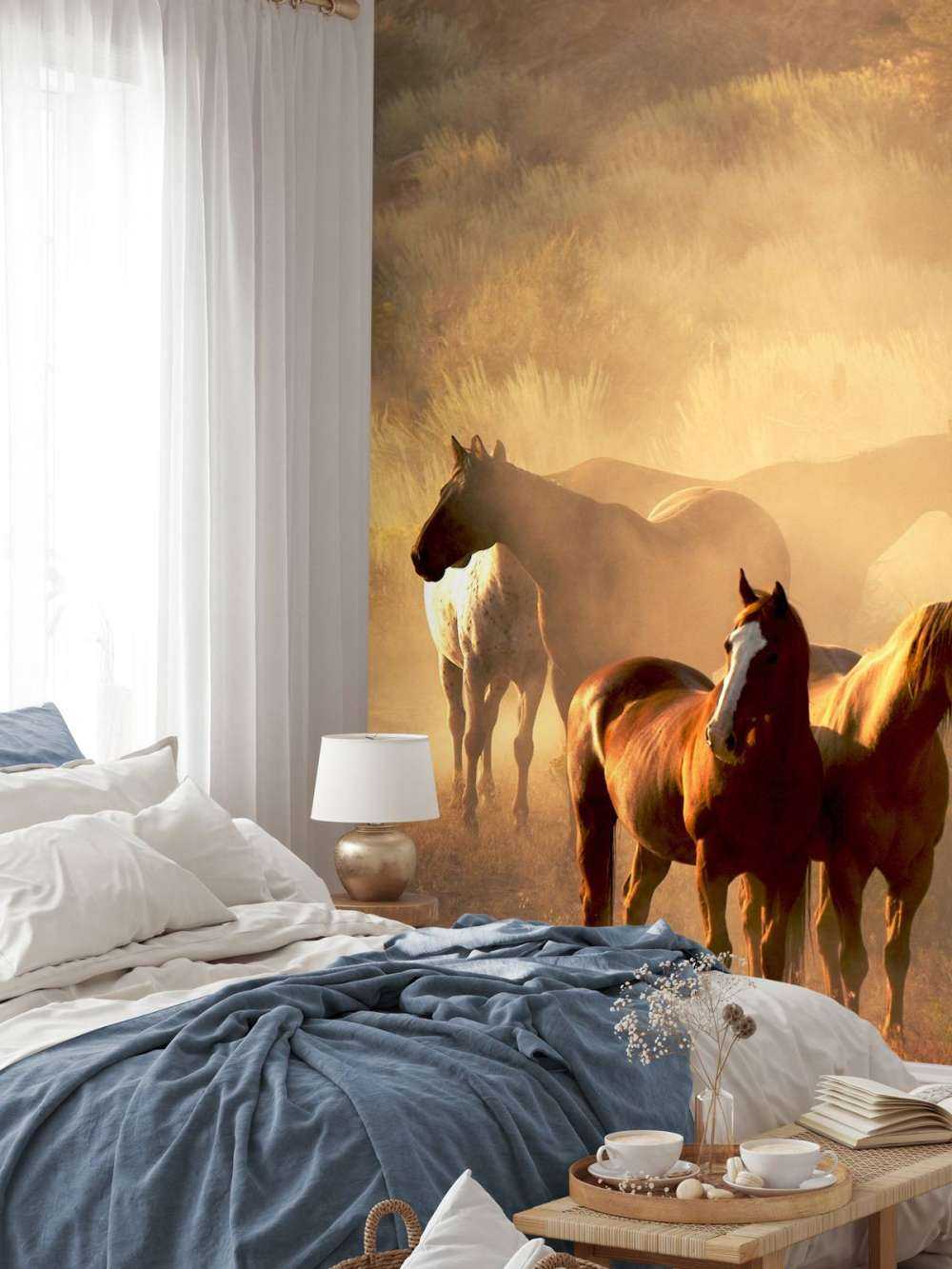 Heste under en solnedgang