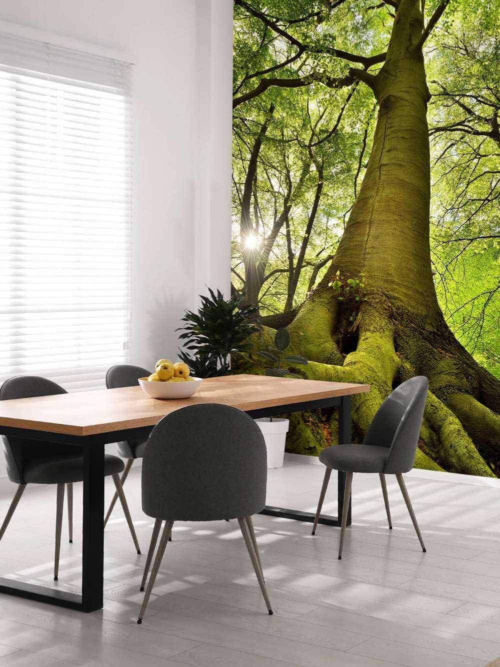 Stort træ og rødder