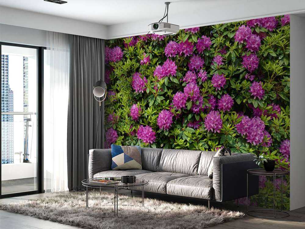 Rhododendroner