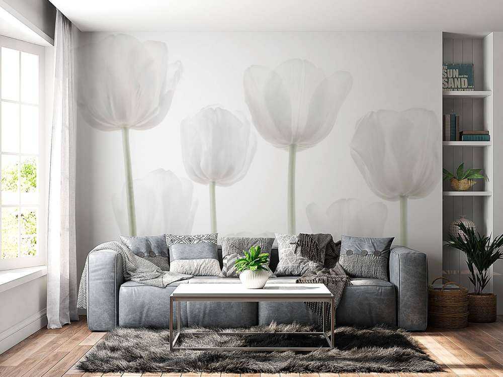 Hvide tulipaner