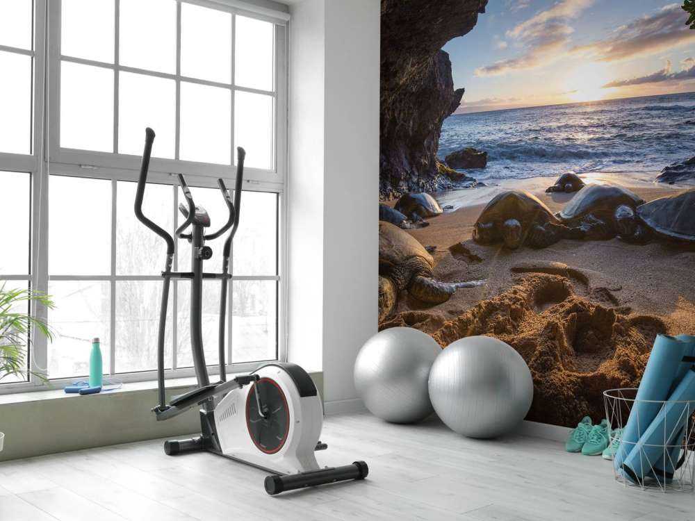 Skildpadder i en grotte