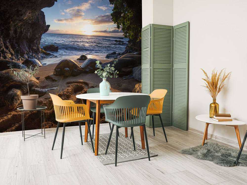 Skildpadder i en grotte