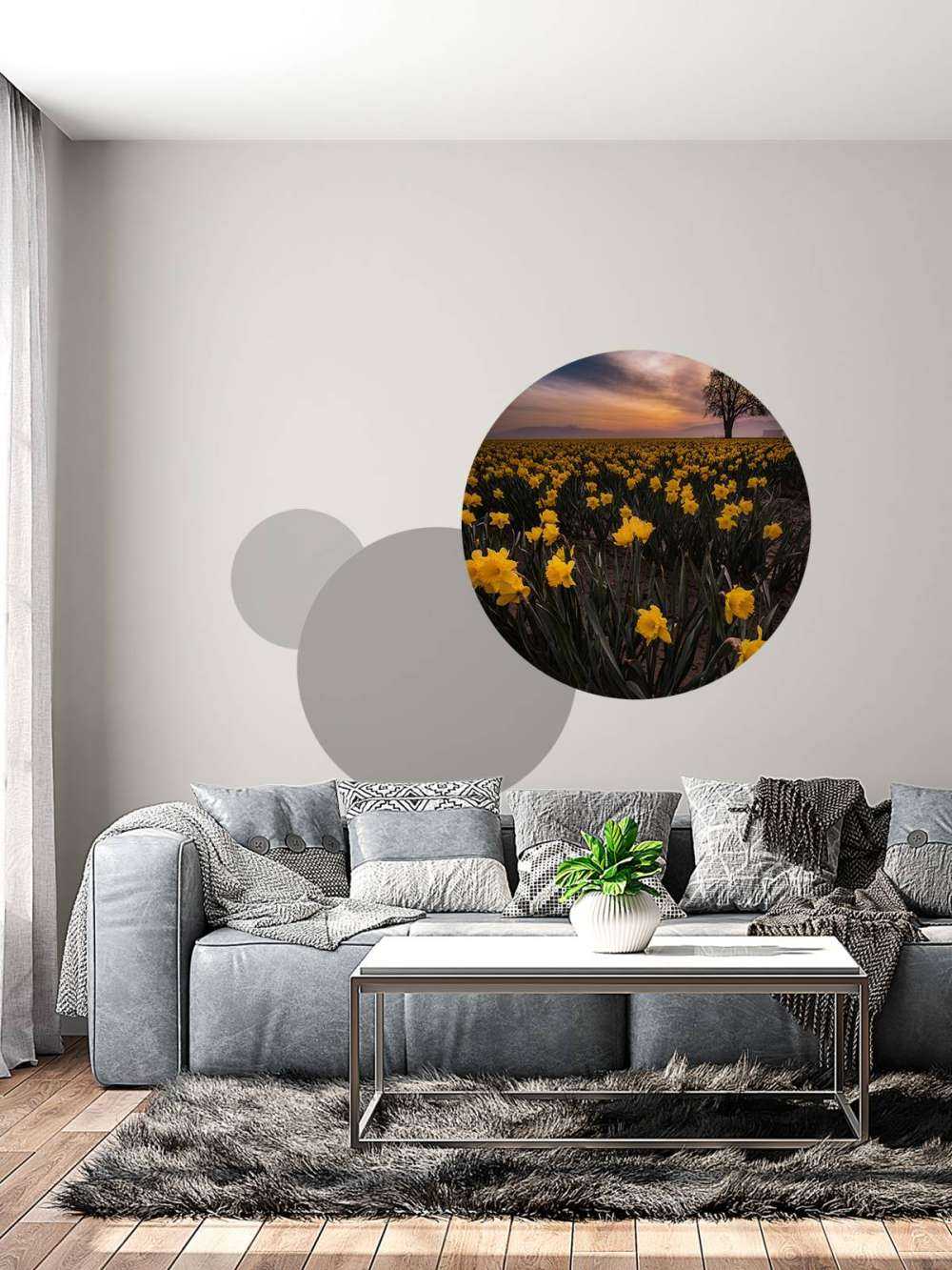 Mark med påskeliljer