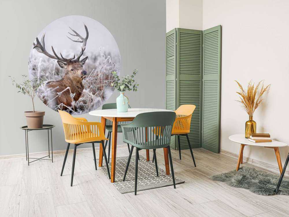 Kronhjortens vinterdrøm