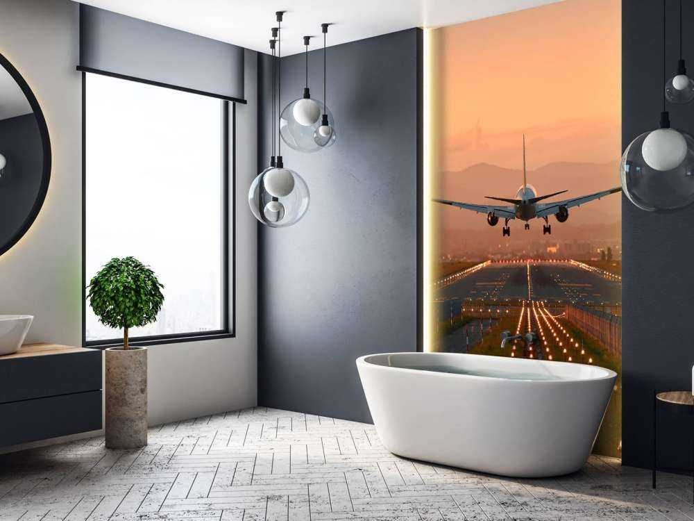 Landingsfly i aftensolen