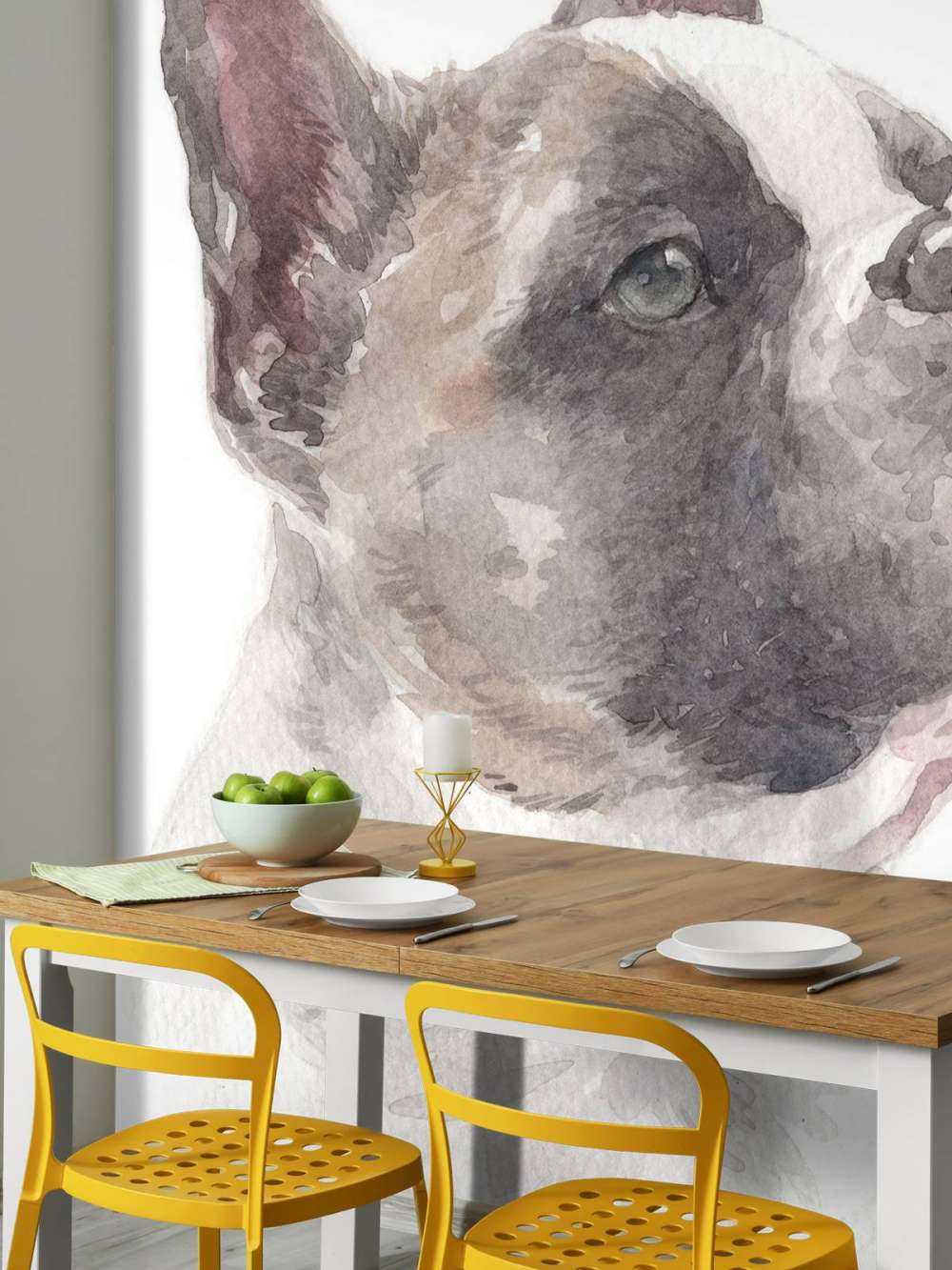 Akvarel fransk bullhund