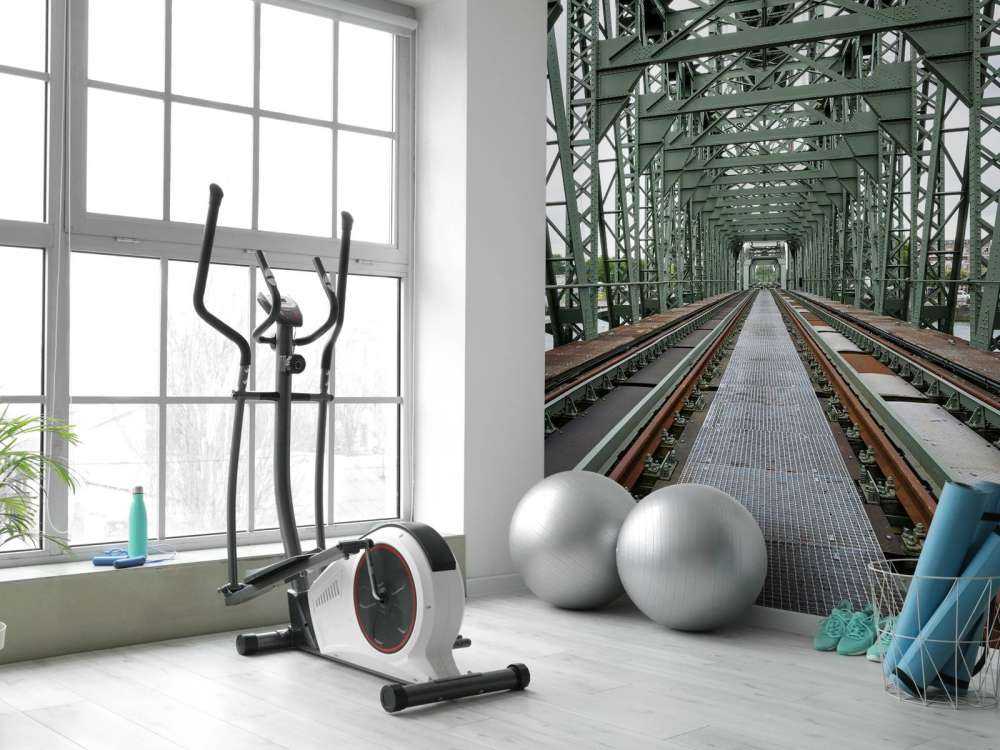 Monumental jernbanebro De Hef i Rotterdam  