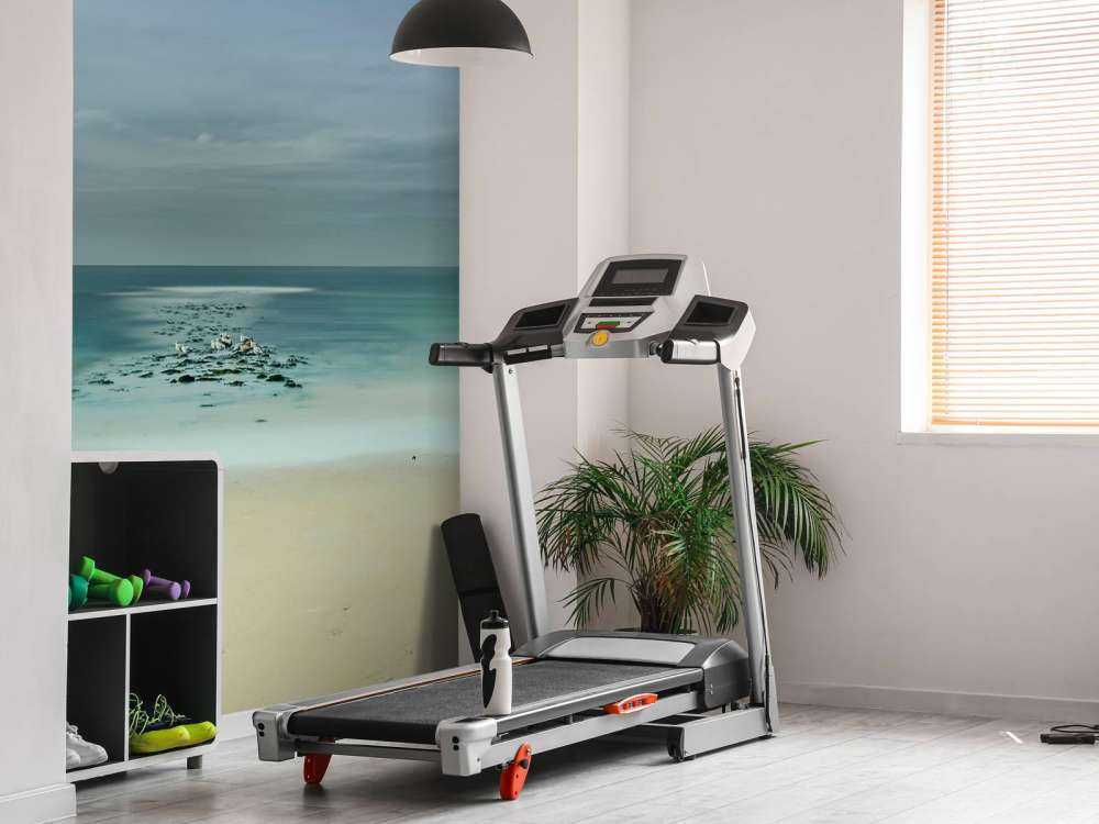 Roligt hav med måger