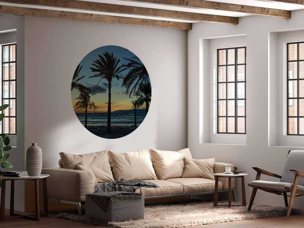 Palmer ved solnedgang