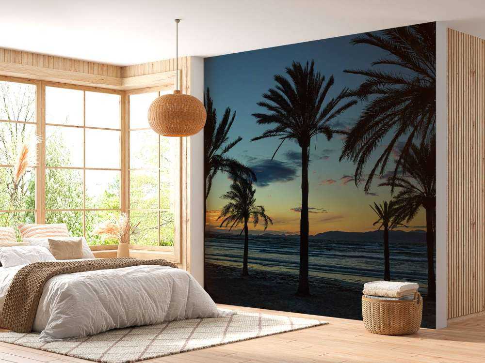 Palmer ved solnedgang