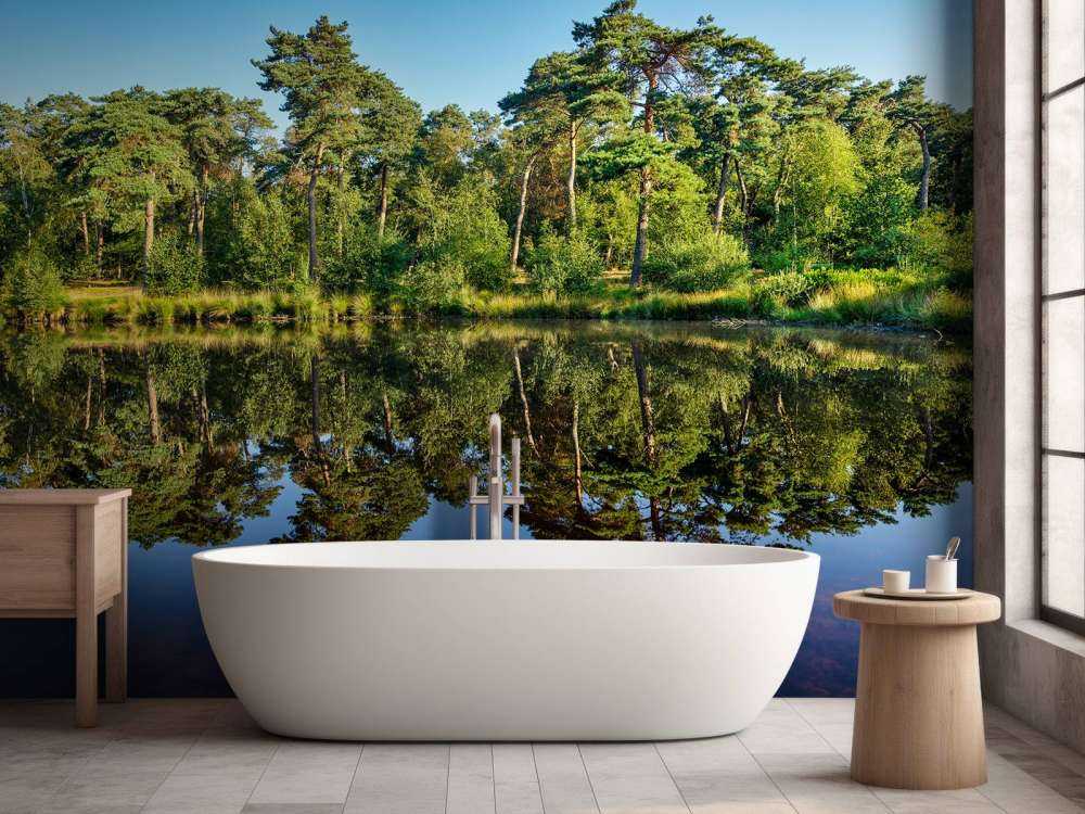 Refleksion i skovene