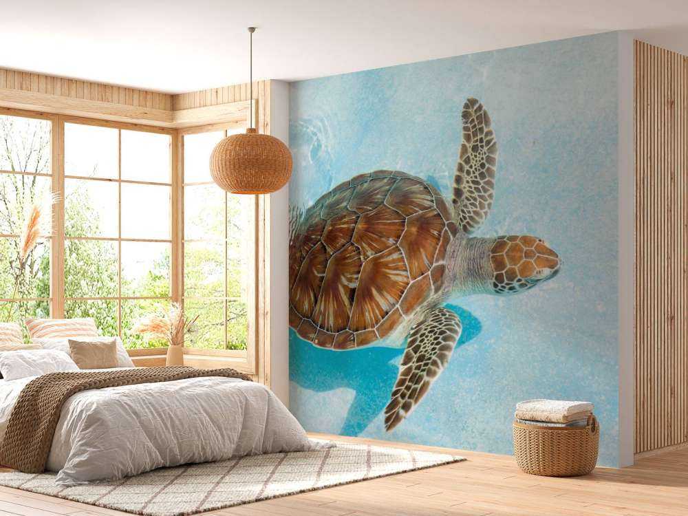 Skildpadde i vandet