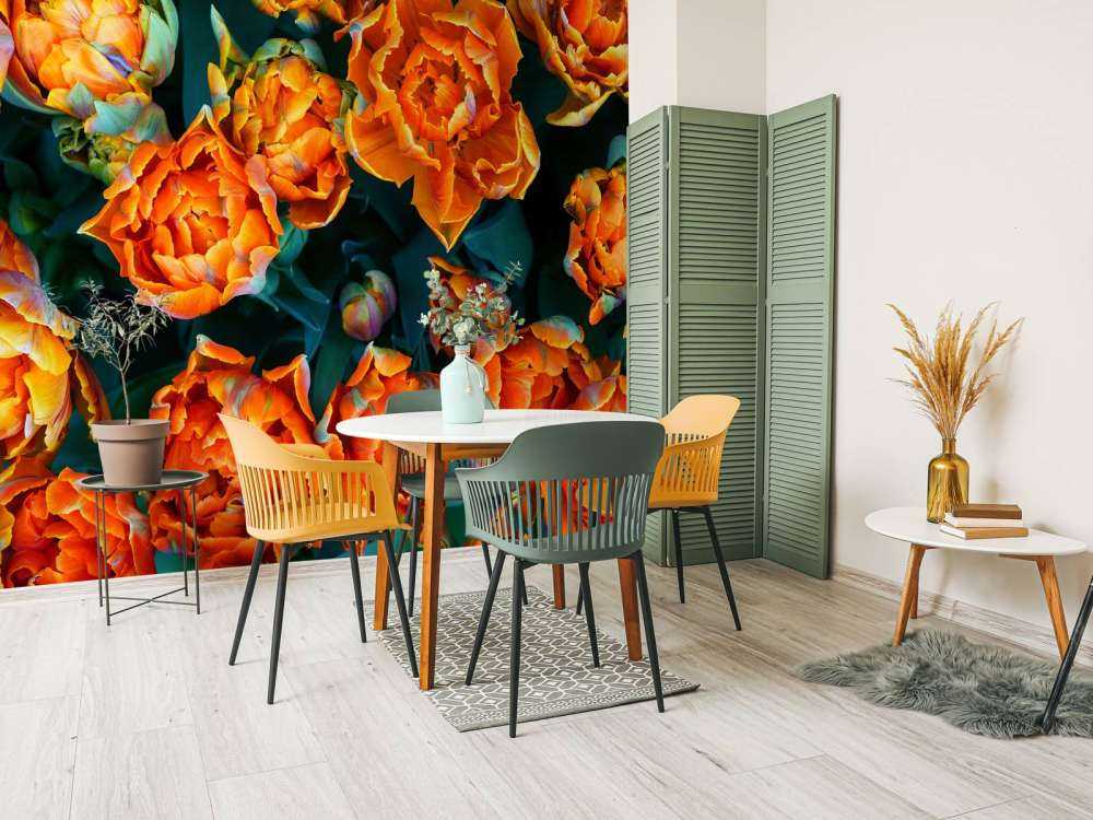 Nærbillede af orange tulipaner