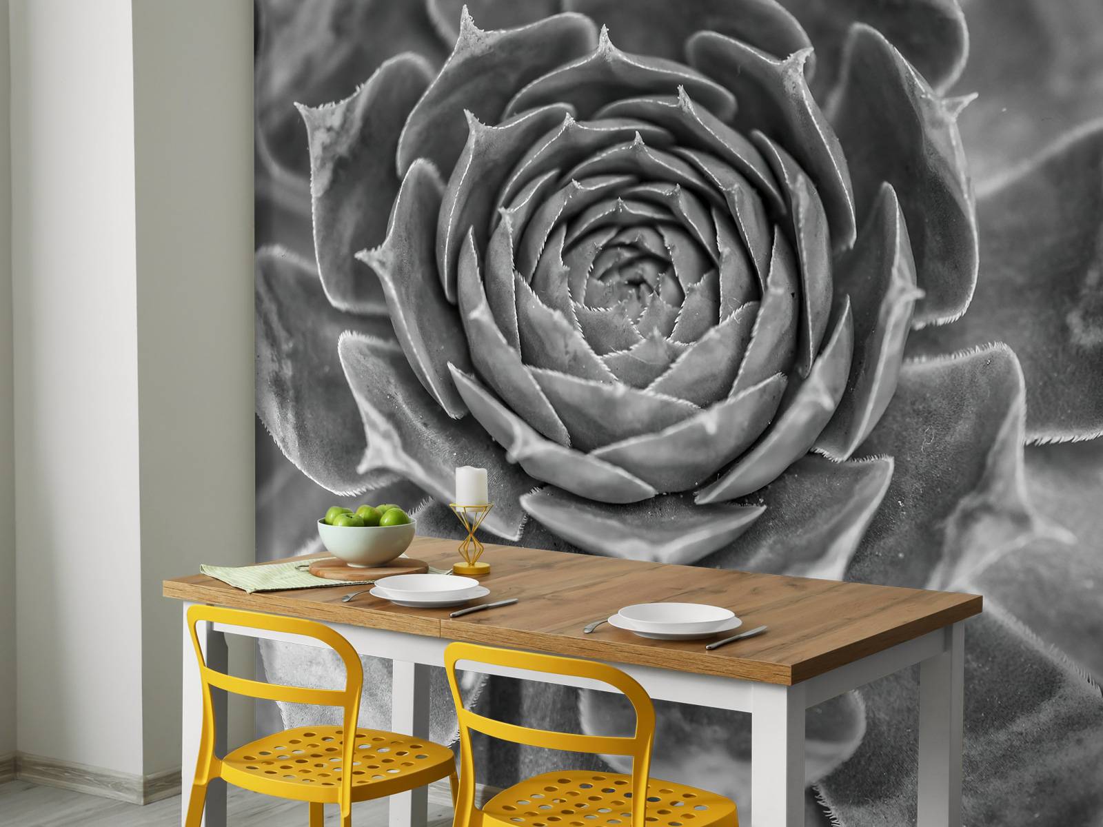 Nærbillede af saftige planter