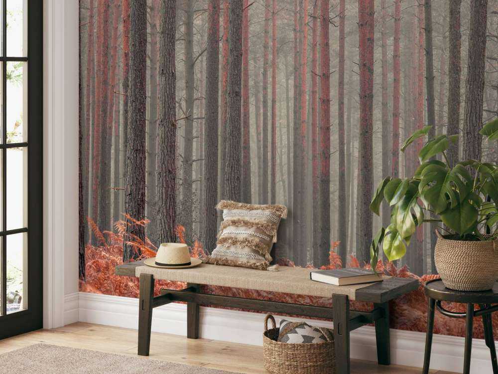 Træer om efteråret