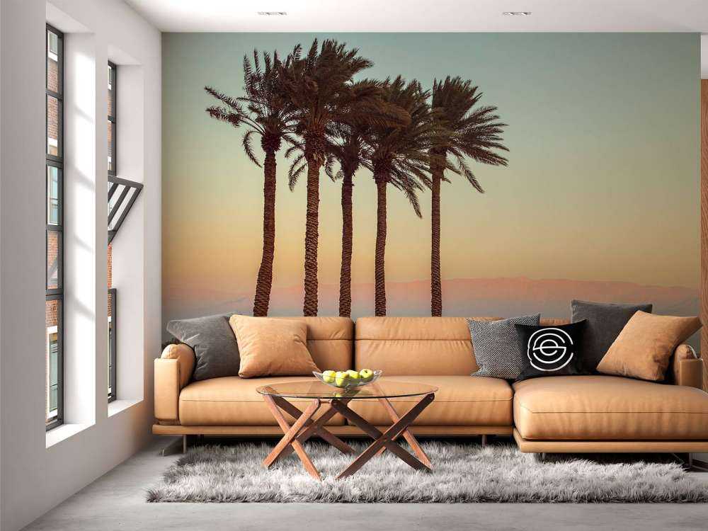 Palmetræer ved solnedgang