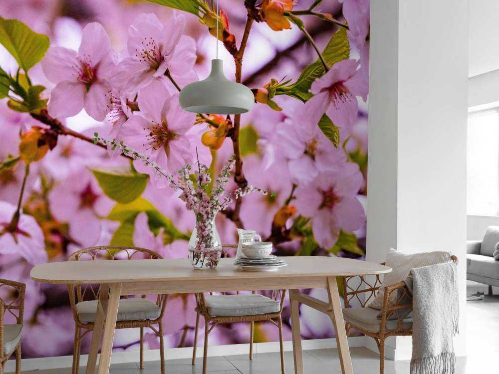 Lyserøde blomster med kronblade