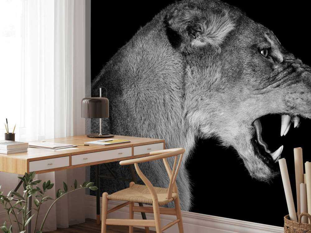 Løvinde set fra siden, sort