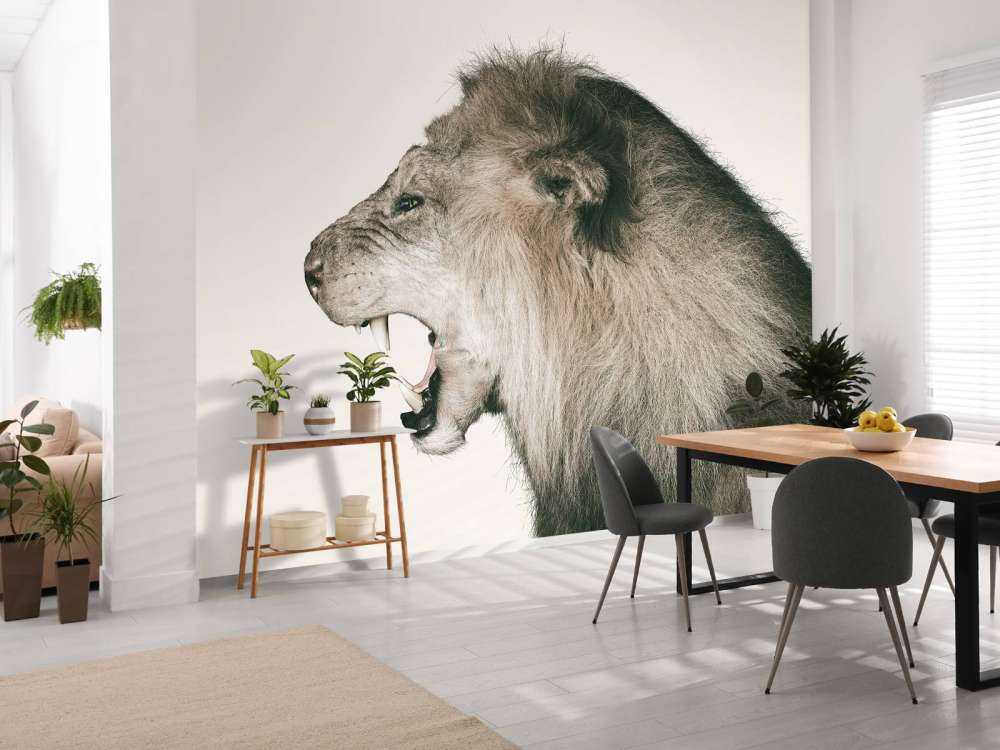 Brølende løve offwhite