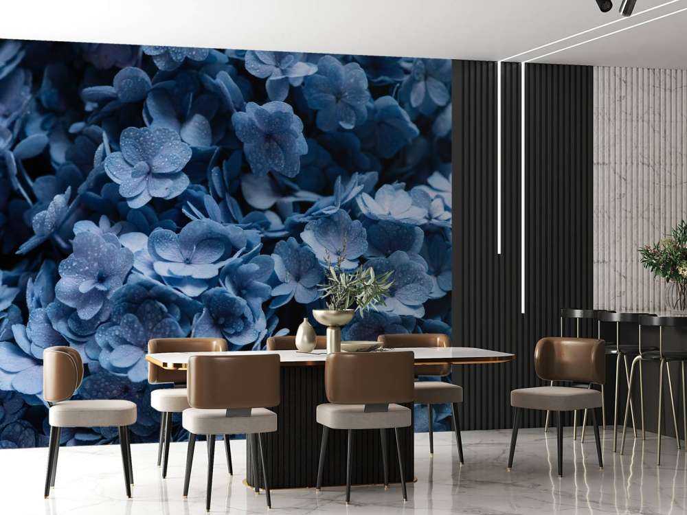 Nærbillede af hortensia
