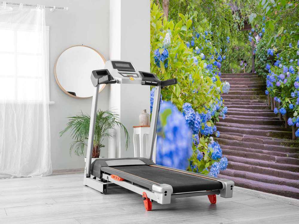 Blå blomster i en park