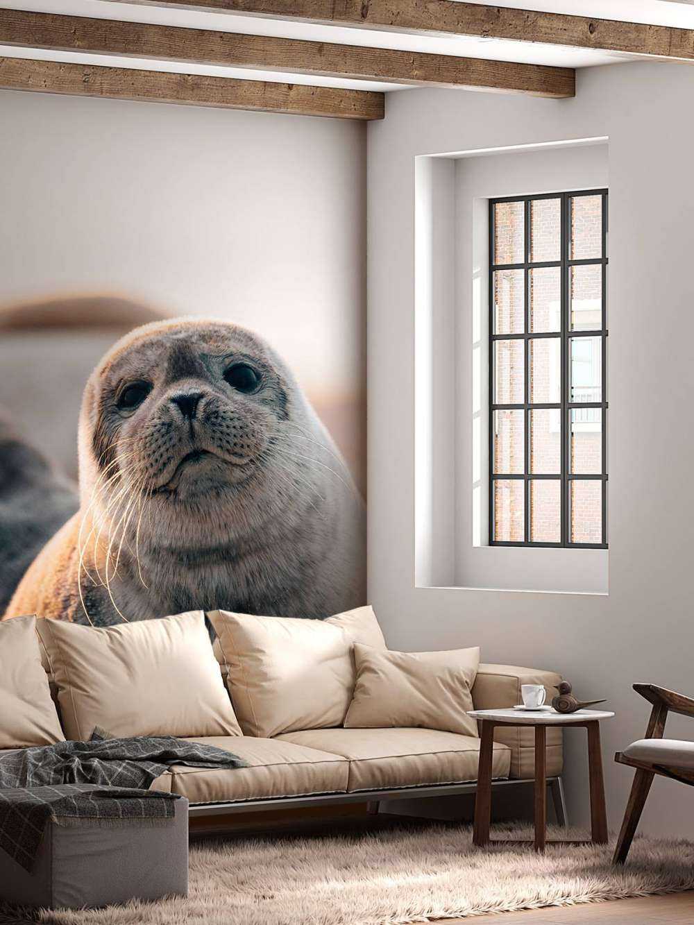 Sæl på stranden i aftenlys