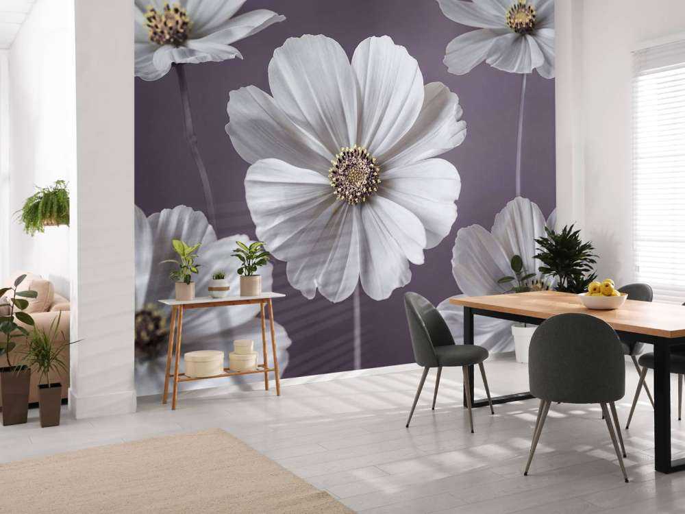 Cosmos blomster