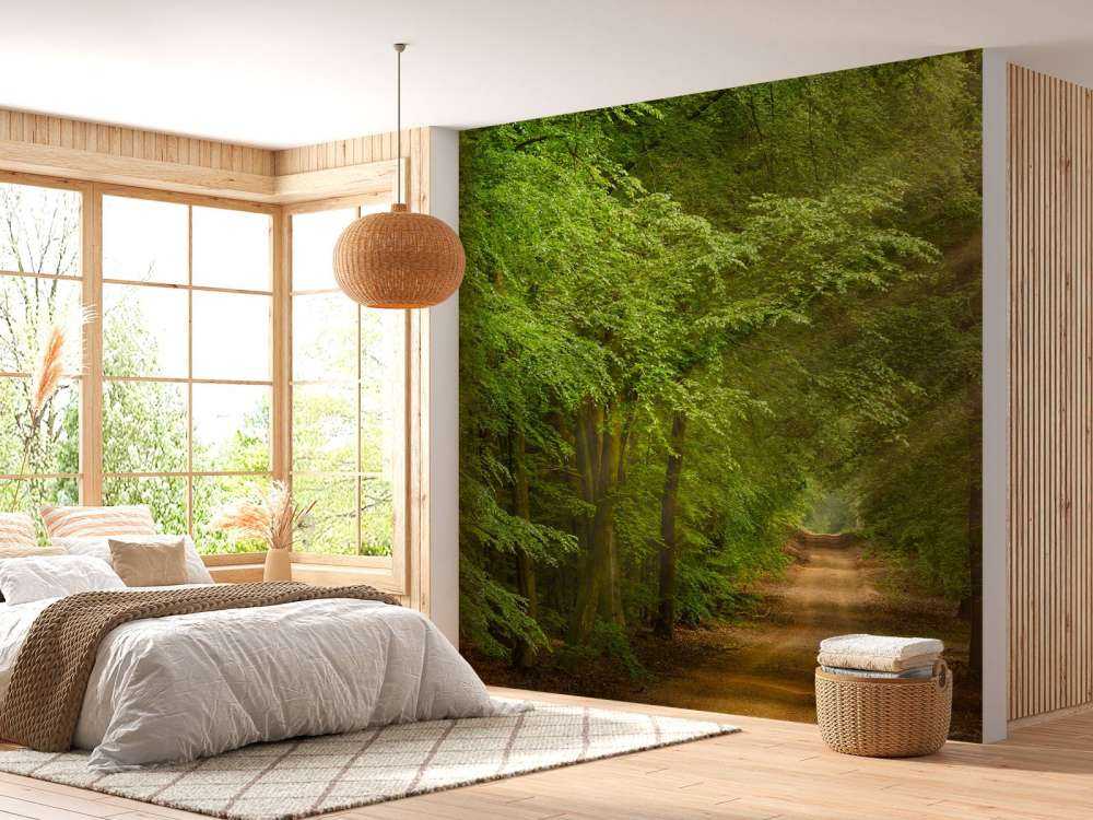 Tudse i skov med solstråler