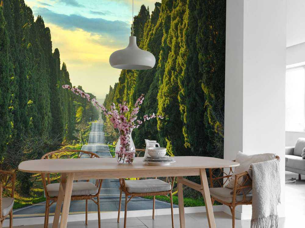 Vej med høje træer